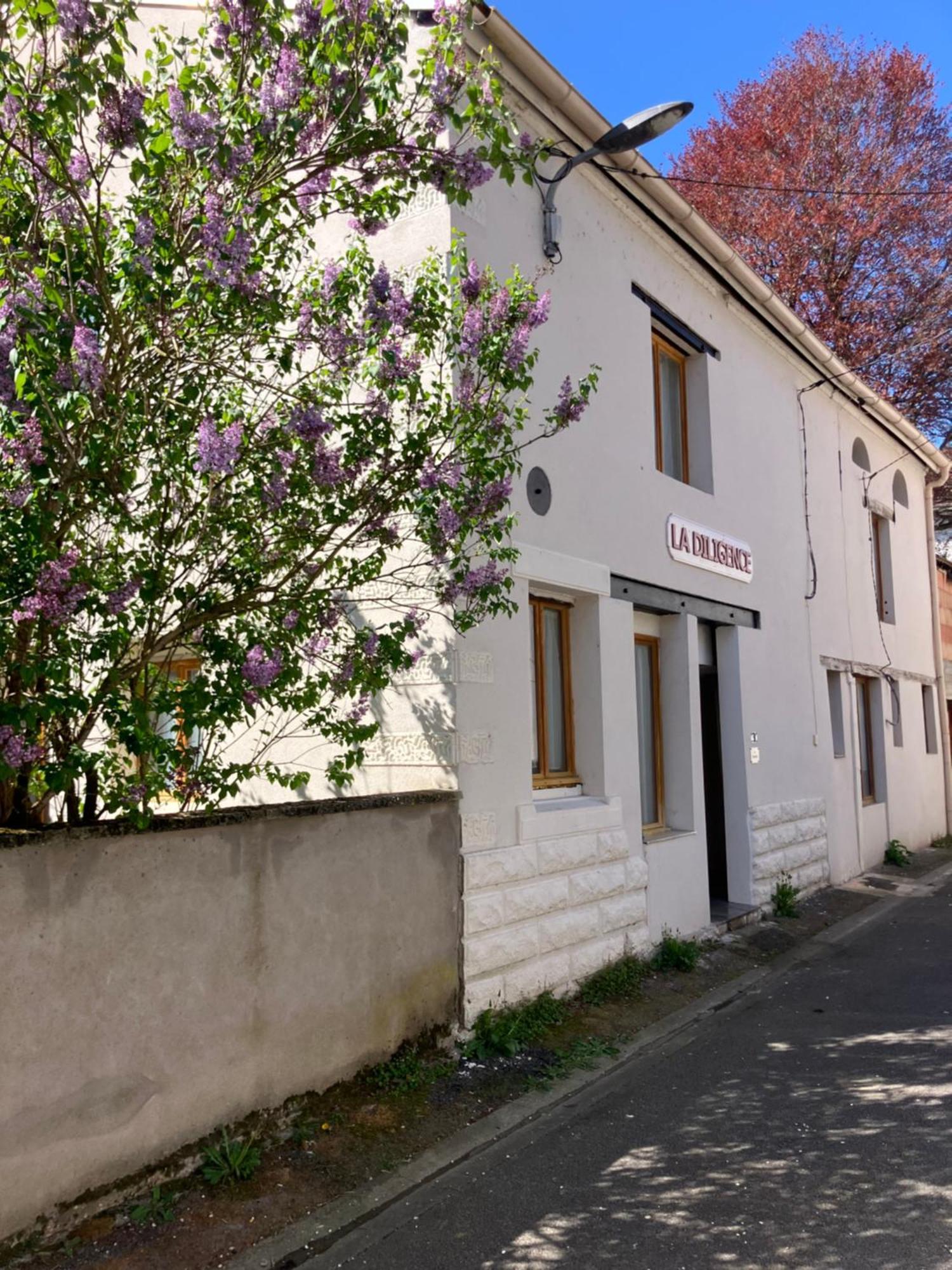 La diligence 2, centre Saint Jean de Losne Exterior foto